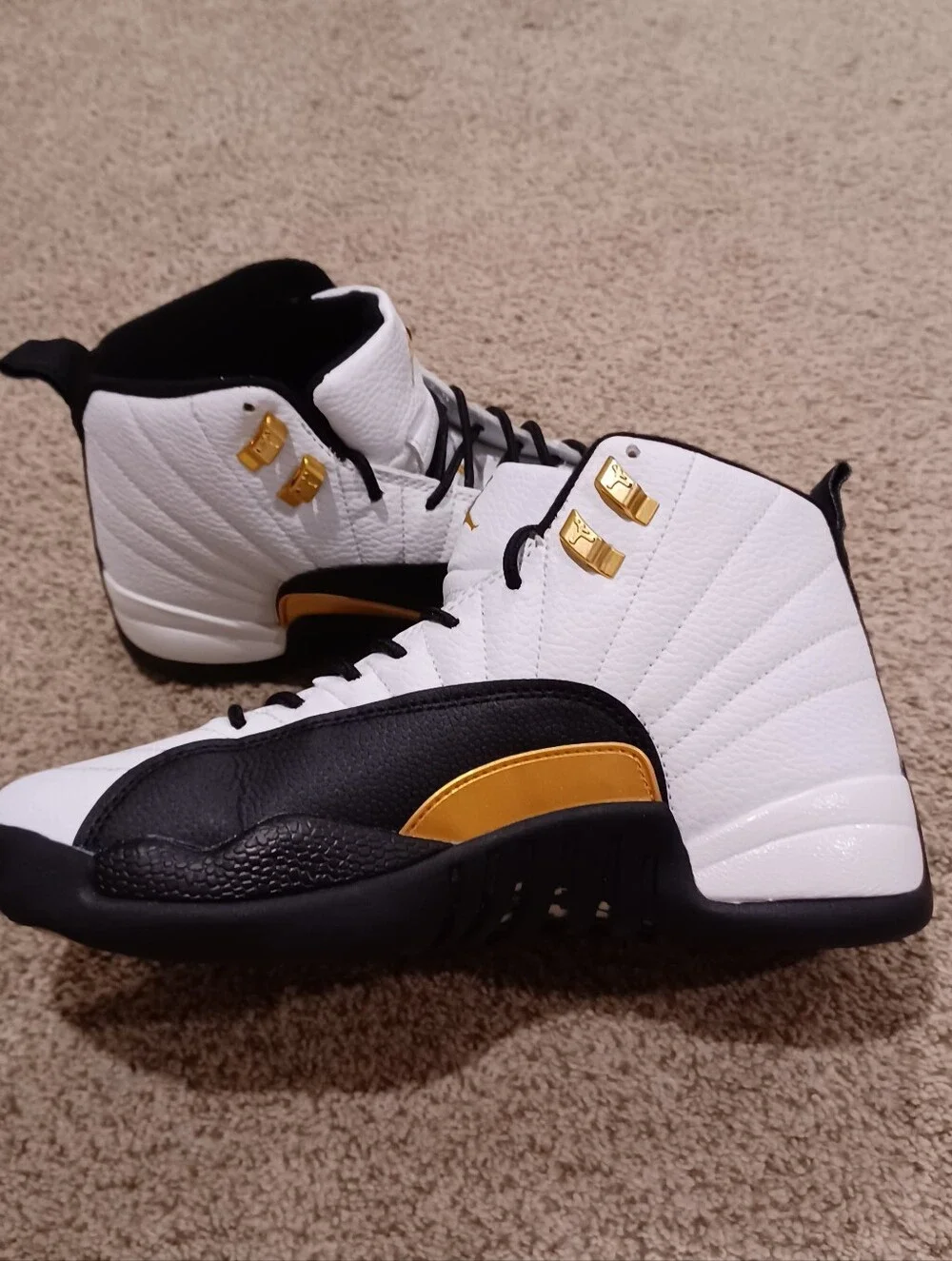 Air Jordan 12 Retro 